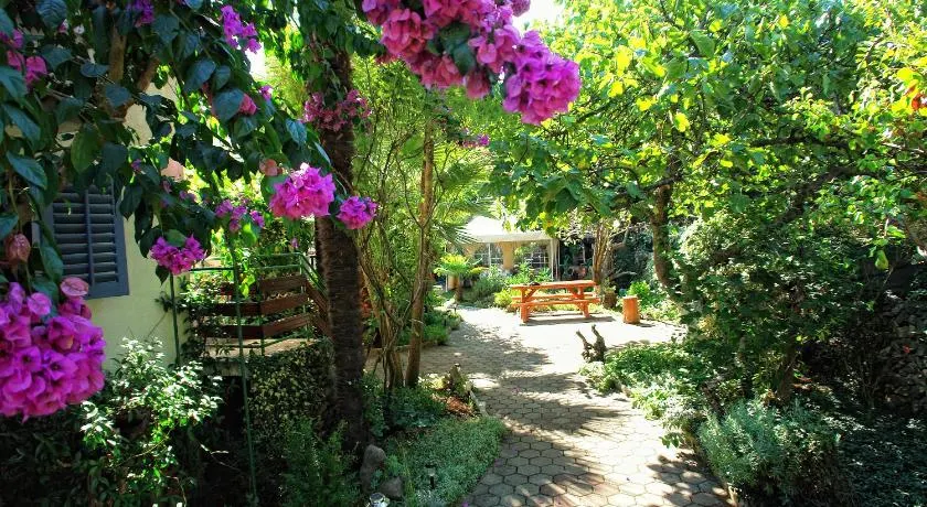 Villa Regina island Cres, 70m from the sea - Image 1