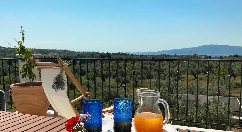 Horizon House, with Olive Grove and a small Vineyard - Image 1