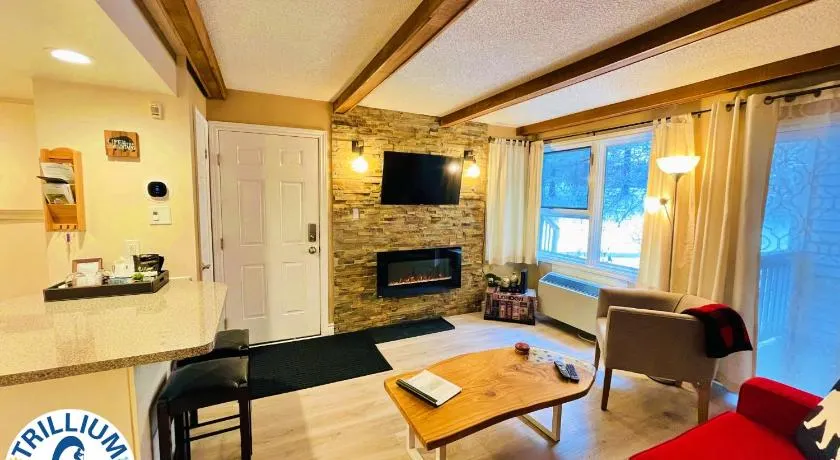 Rustic Mountainside Chalet - Image 1