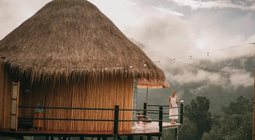 Cozy Wild - Image 1
