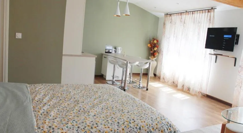 Saint Etienne : appartement Châteaucreux 40 M2 - Image 1