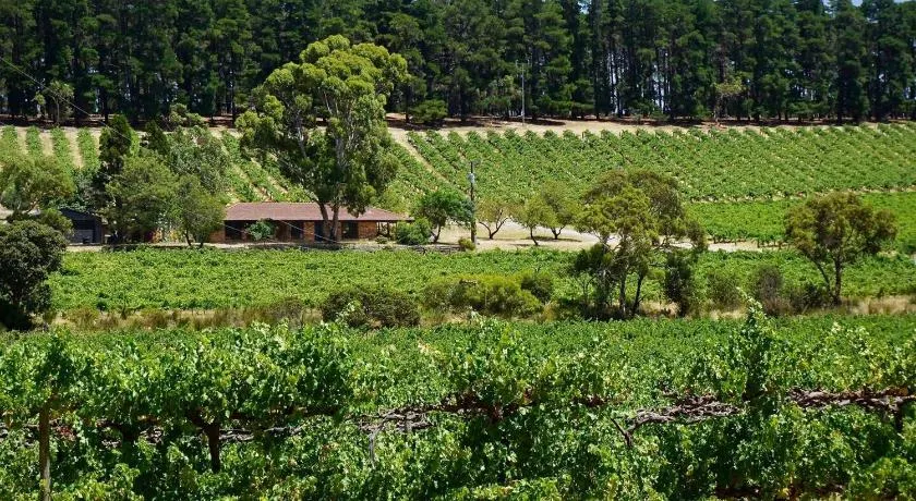 Picturesque Vineyard Farmhouse Nestled on 40-Acres - Image 1