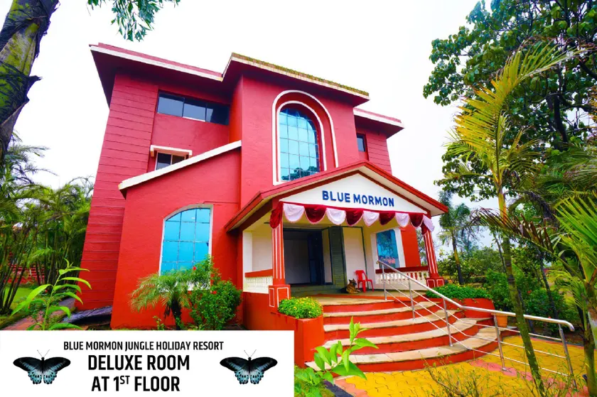 Blue Mormon Jungle Holiday Resort - Image 1