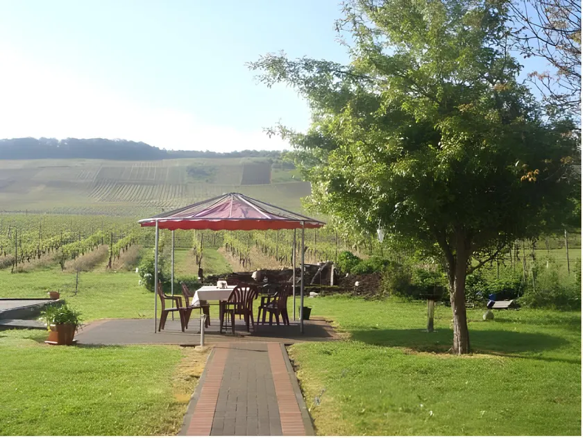 Weingut Tiliahof - Image 1