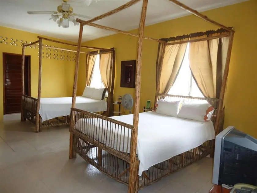 Rainforest Haven Inn - Image 1