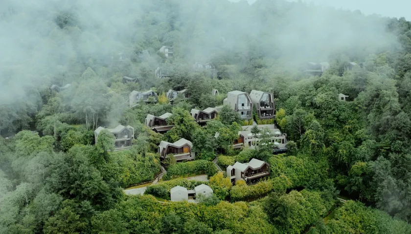 Kavya Himalayas - Image 1