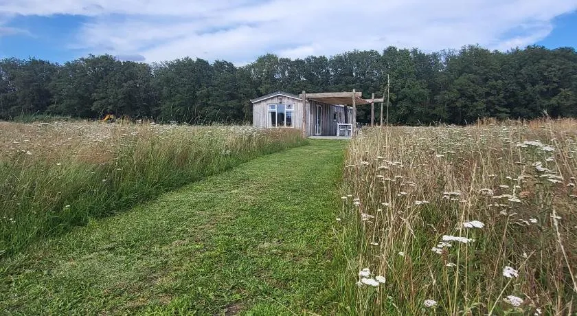 Hoeve Twente - De Oeverzwaluw - Image 1