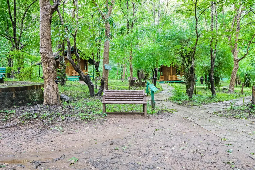 Jungle Lodges And Resorts- Sakrebyle Elephant Camp - Image 1