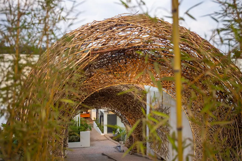 The Nest - Complimentary Massage Included - Image 1