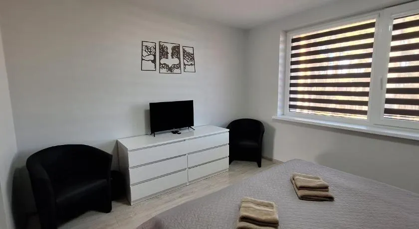 Dainavos apartamentai Druskininkai - Image 1