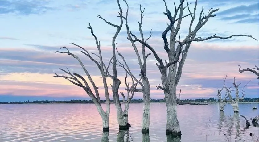Bonney Shores - Image 1