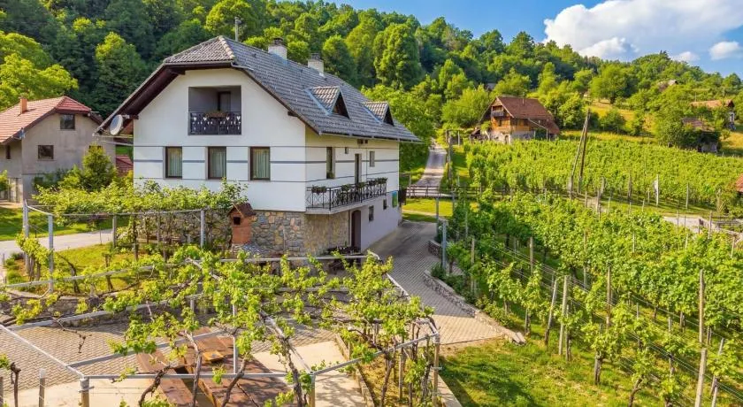 Vrtin Vineyard Family Retreat - Happy Rentals - Image 1