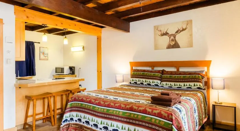 The Washoe Lodge - Image 1