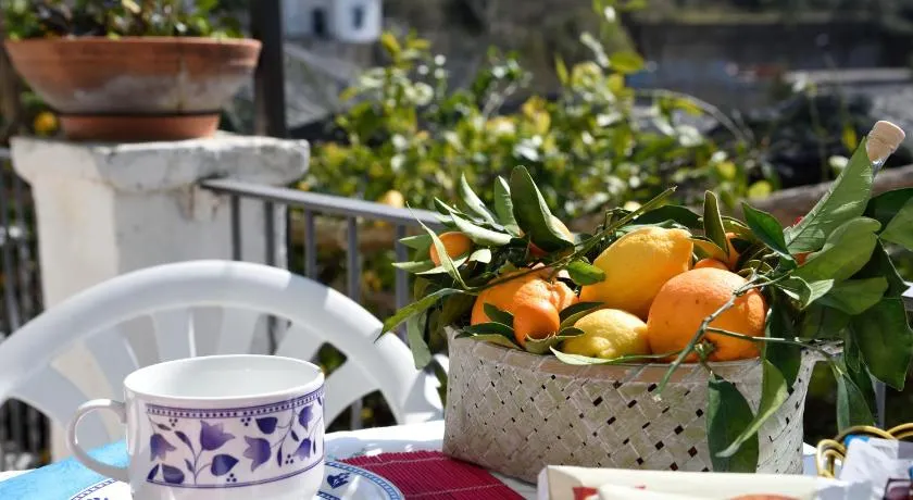 B&B Iris - Image 1