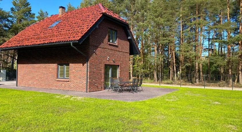 Gintarinis pajuris - Image 1