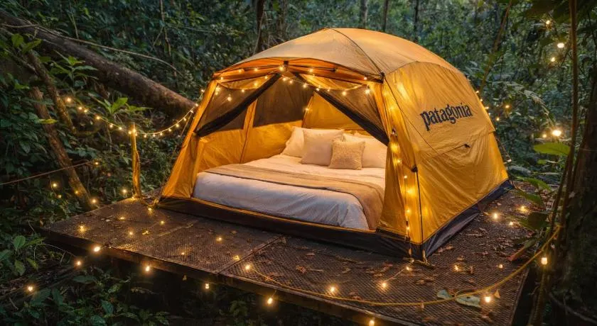 Jungle Overnight - Image 1