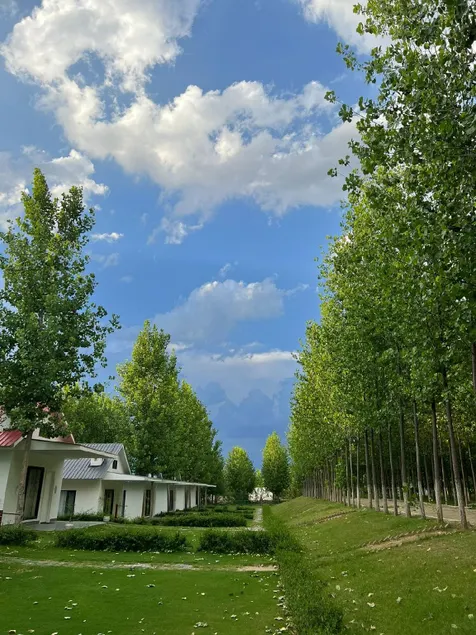Solis Wellness Retreat - Image 1