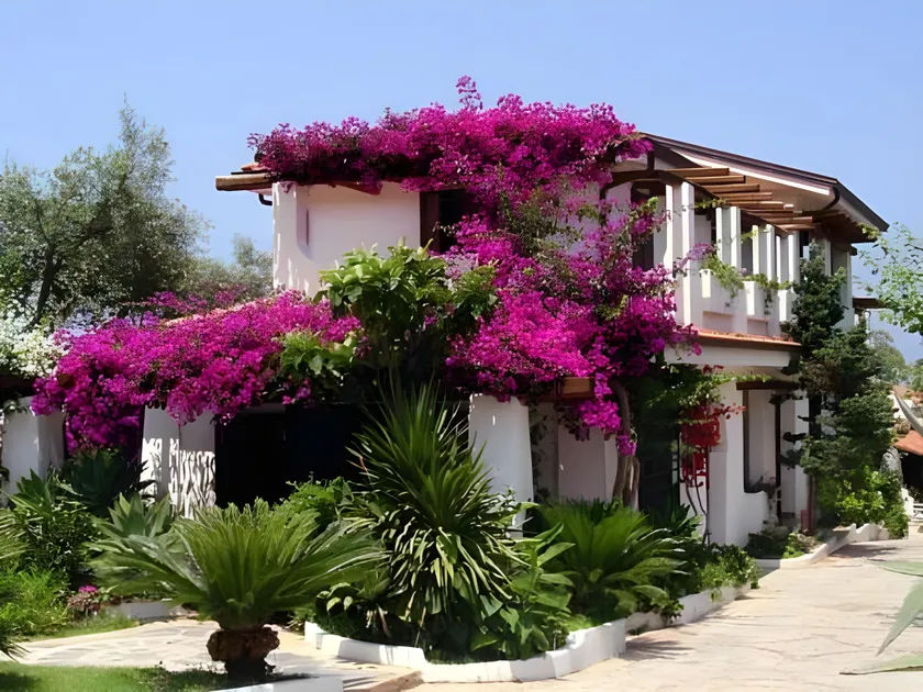 Villaggio La Pizzuta - Image 1