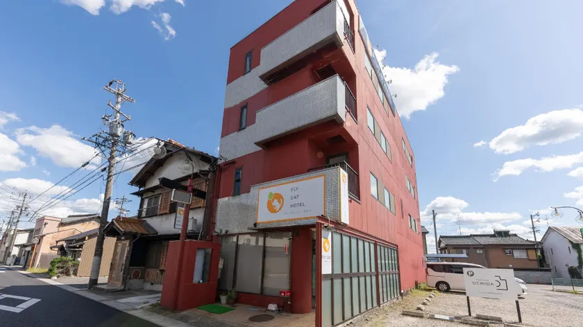 FLY CAT HOTEL - Image 1