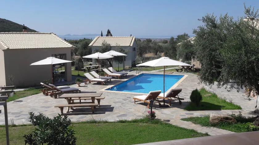 Socrates Organic Village - Wild Olive - Image 1