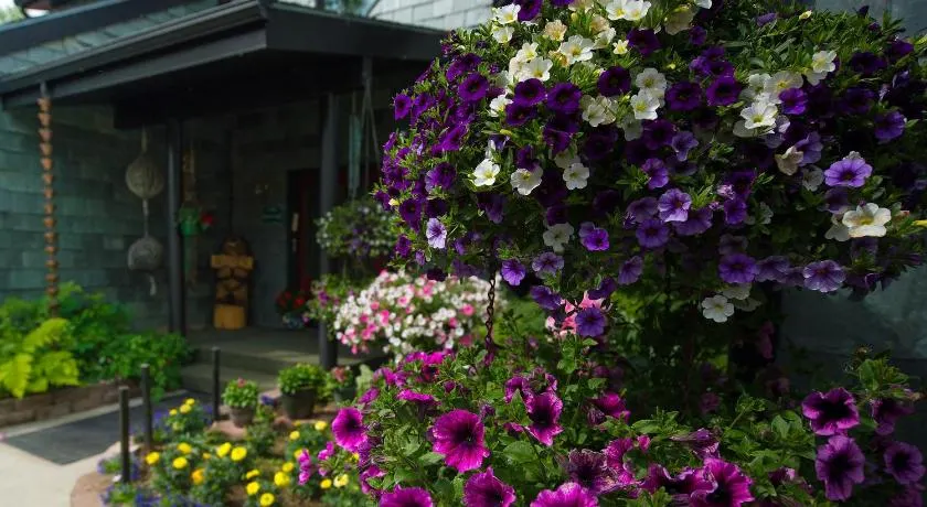 Alaska House of Jade Bed and Breakfast - Image 1