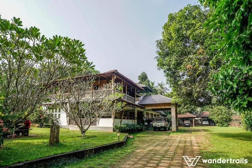 Teak Town - Image 1