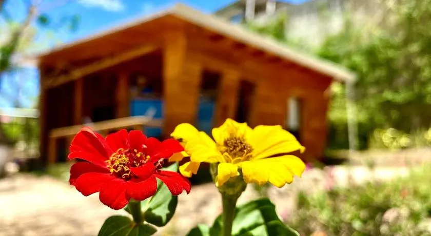 Hoja Azul - Image 1