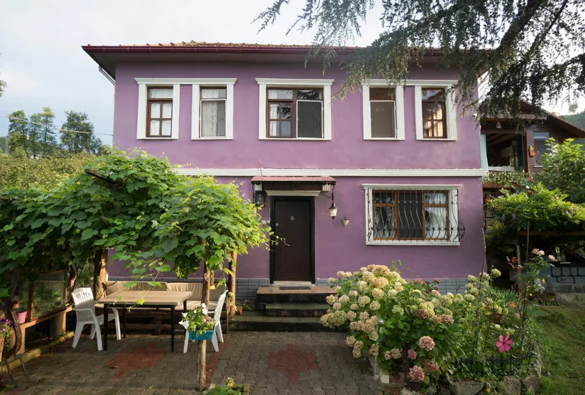 Villa Banizo  Great Black Sea View Village House - Image 1