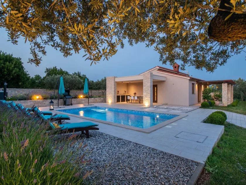 Luxe villa with jacuzzi and pool - Image 1