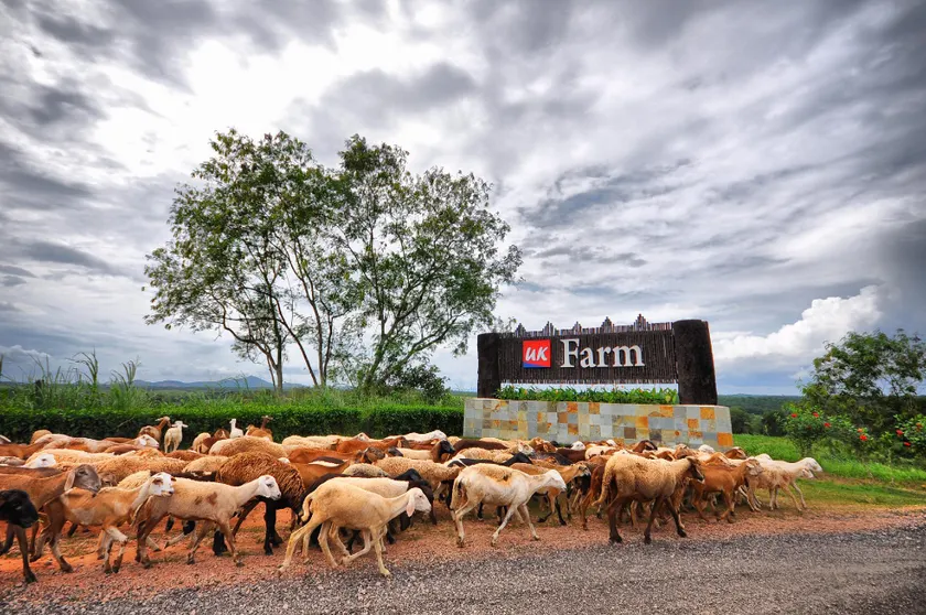UK FARM Agro Resort - Image 1