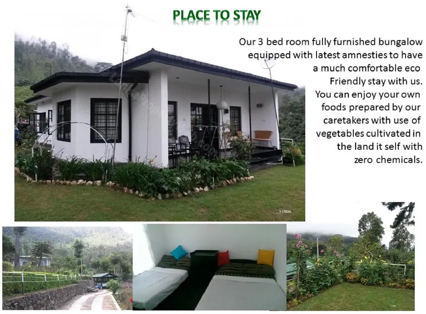 Royal Eco Resort - Image 1