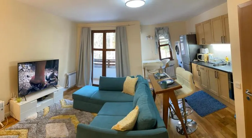 Ski to door at Mountain View 1BR condo Bansko - Image 1