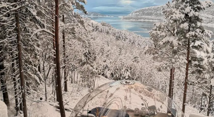 Glassigloo med panoramautsikt - Nordlys og stjernehimmel - Fosen - Image 1
