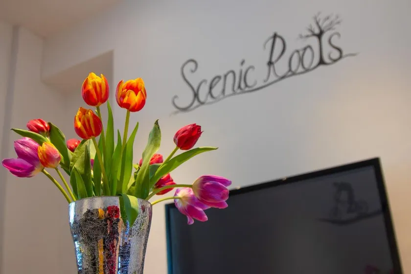 Scenic Roots - Image 1