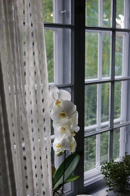 Stockholm B&B Cottage - Image 1