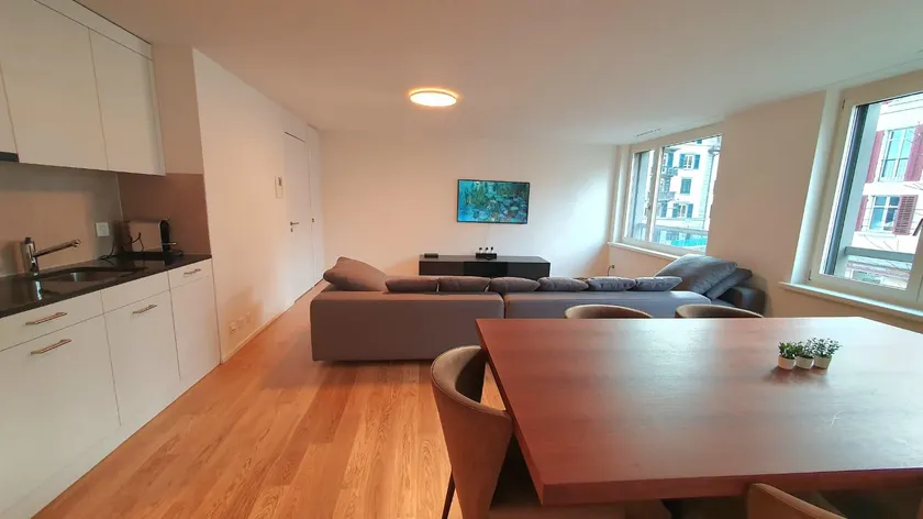 DHG Luxury Apartments  Zurich-Wollishofen - Image 1