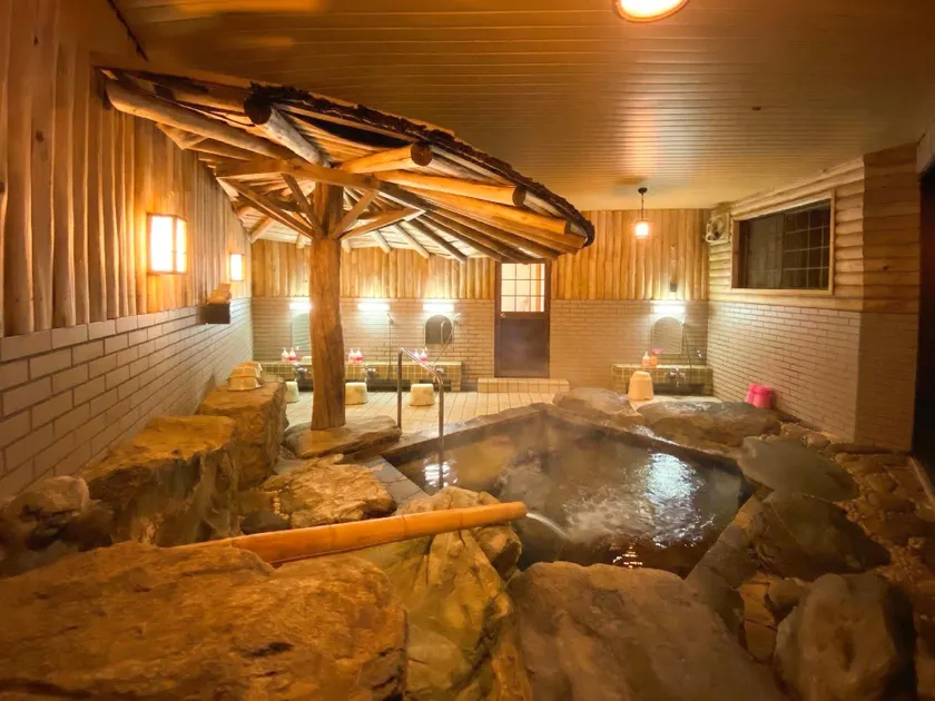 Shinshiro Kanko Hotel - Image 1
