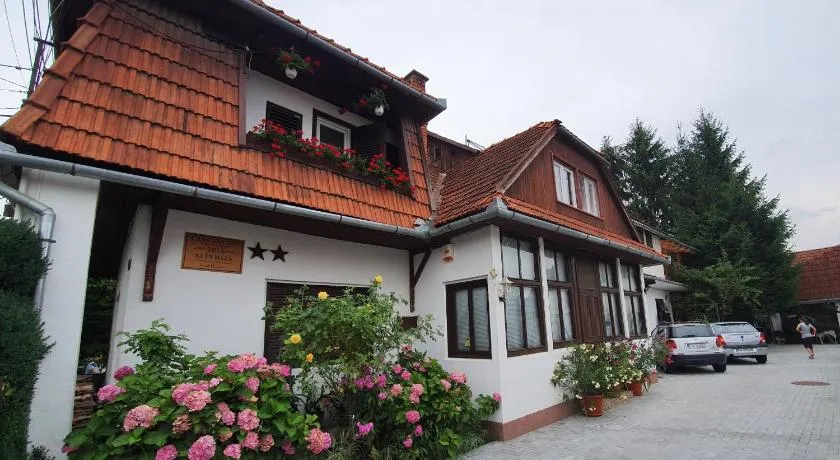 Pensiunea Schneider - Image 1