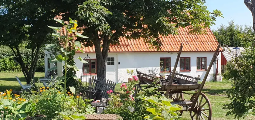 Norrekås Beach Studios - Image 1