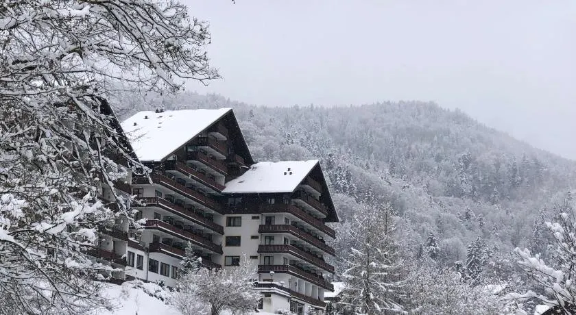 Dachstein 529 - Image 1