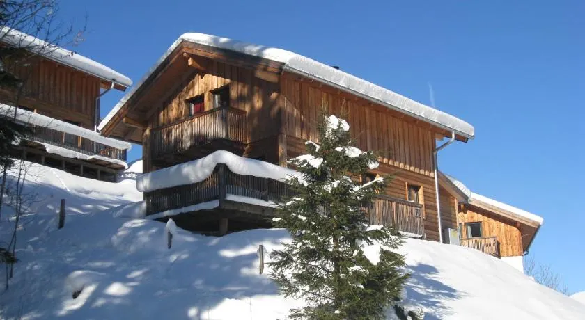 Alpenferienhaus Dachstein-West - Image 1