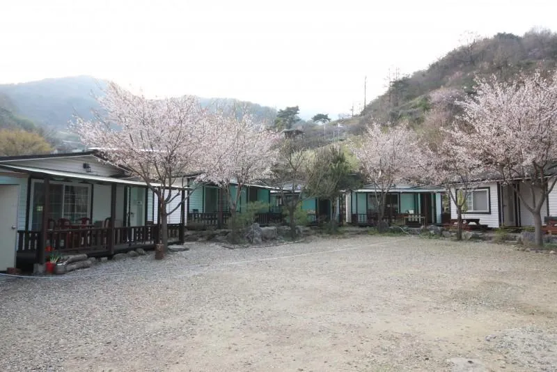Seongju Greennarae Pension - Image 1