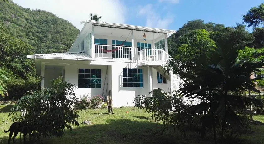 Posada Mango Tree - Image 1