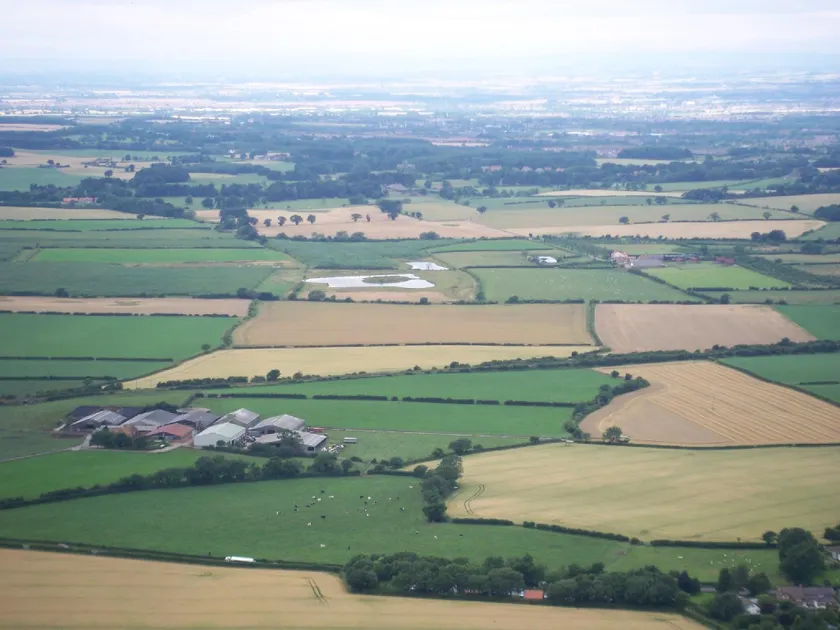Blackthorn Gate - Image 1