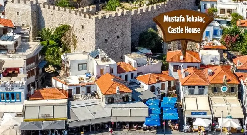 Mustafa Tokalaç Castle house - Image 1