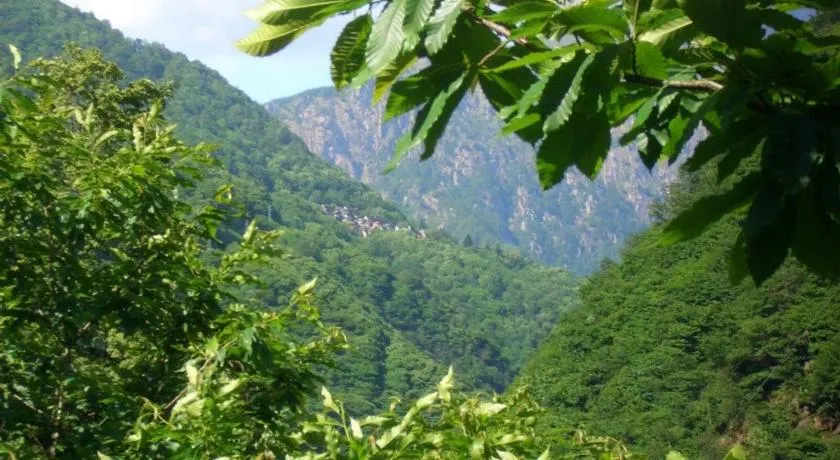 B&B CA' DEL PITUR CICOGNA - Image 1