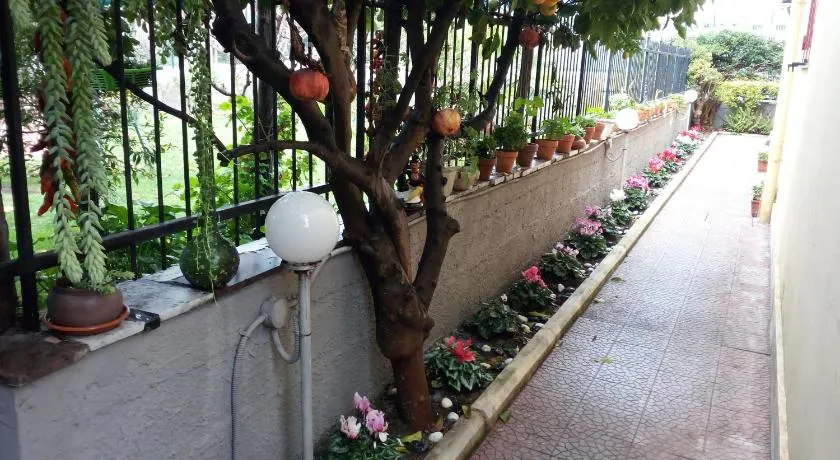 Green Garden - Image 1