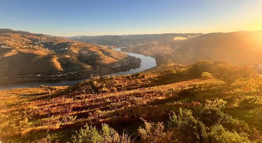 Cozy House with Douro View - Image 1