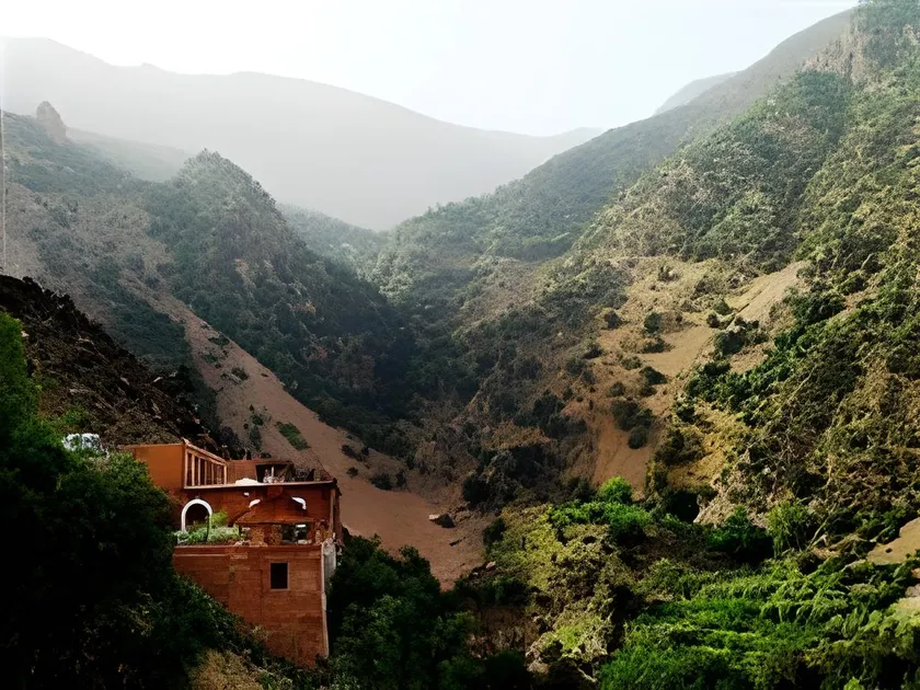 Dar Tassa - Image 1