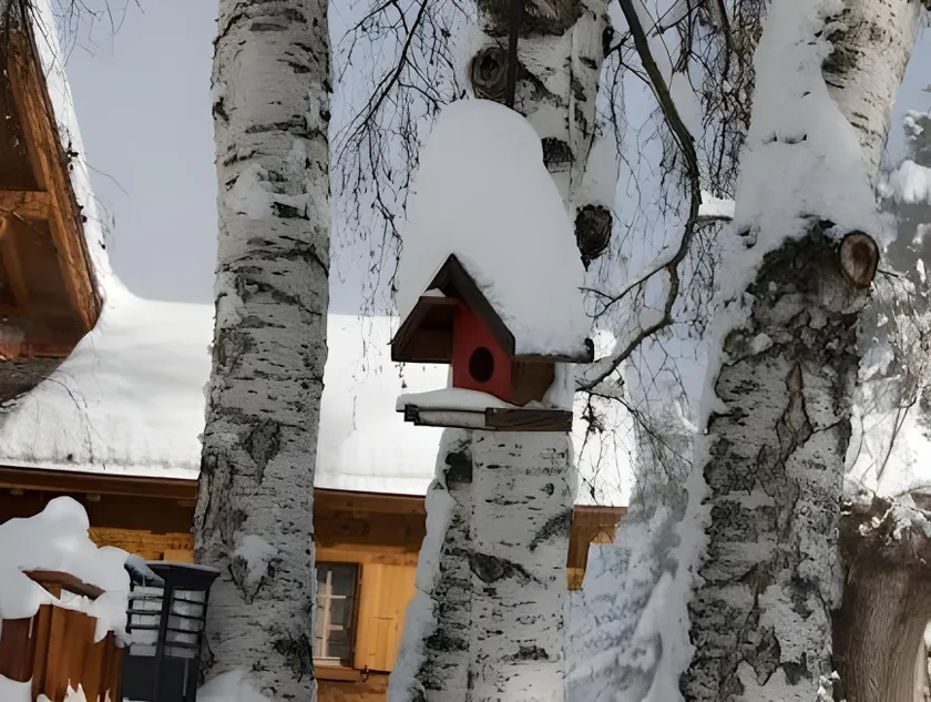 Chalet Les Rindes - Image 1